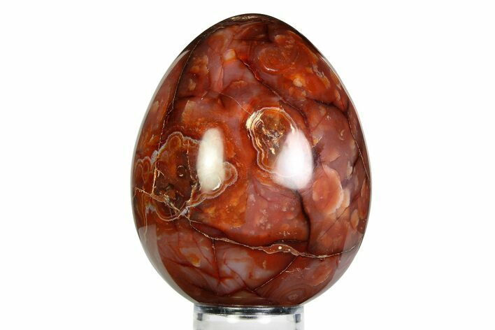 Vibrant Polished Carnelian Agate Egg - Madagascar #355496